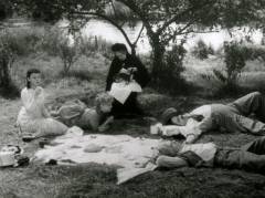 A day in the country