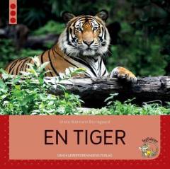 En tiger