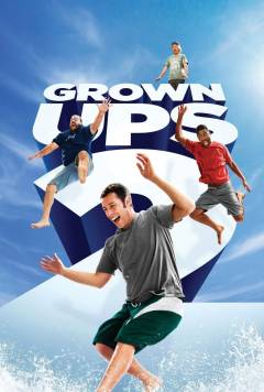 Film (dvd), 2013