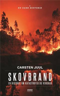 Skovbrand : en historie om katastrofer og venskab
