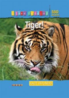 Tiger!