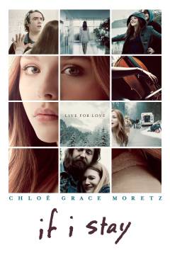 Film (dvd), 2014