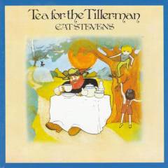 Tea for the tillerman