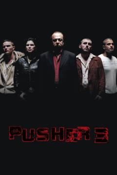 Film (dvd), 2006