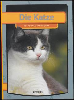 Die Katze