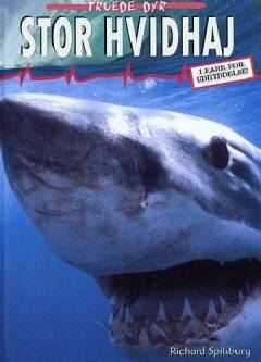 Stor hvidhaj : i fare for udryddelse