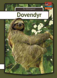 Bog, 1. udgave, 2019