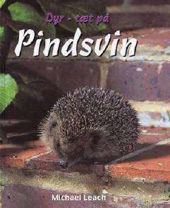 Pindsvin