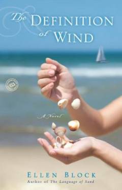 The definition of wind : a novel