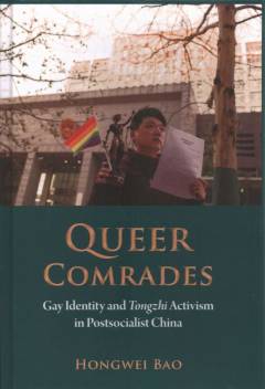 Queer comrades : gay identity and tongzhi activism in postsocialist China