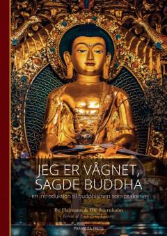 Jeg er vågnet, sagde Buddha : en introduktion til buddhismen som praksisvej