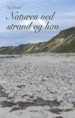 Naturen ved strand og hav