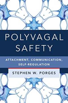 Polyvagal safety : attachment, communication, self-regulation