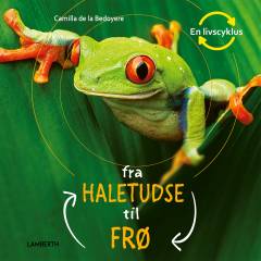 Fra haletudse til frø