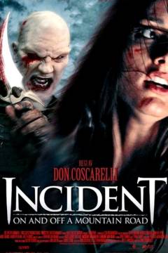 Incident on and off a mountain road