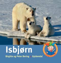 Isbjørn