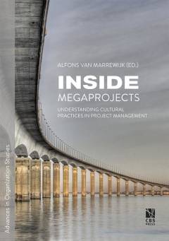 Inside megaprojects : understanding cultural practices in project management