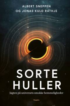 Sorte huller : jagten på universets smukke hemmeligheder