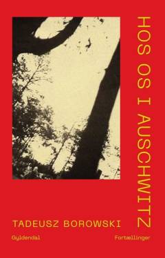 Bog, 2. udgave, 2025