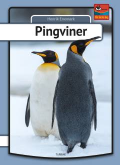 Pingviner