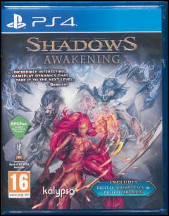 Shadows awakening