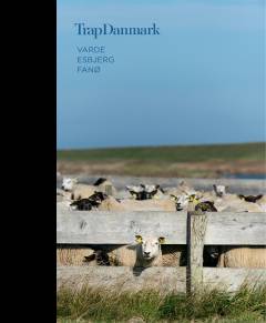 Bog, 6. udgave, 2020