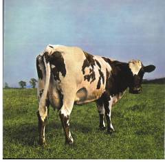 Atom heart mother