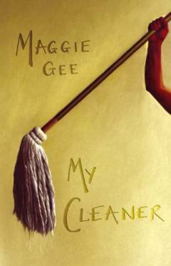 My cleaner