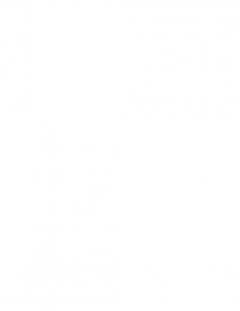 Dansk amatørboksnings historie