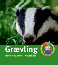 Bog, 1. udgave, 2017