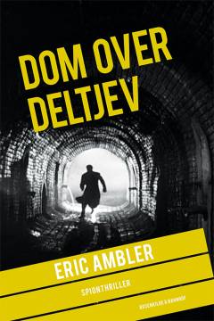 Dom over Deltjev : spændingsroman