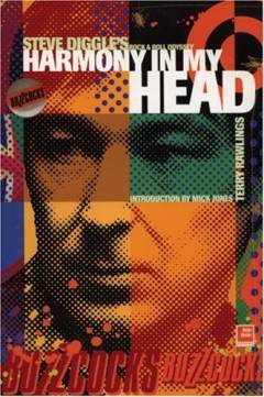 Harmony in my head : Steve Diggle's rock & roll odyssey