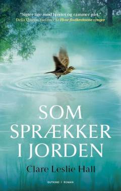 Som sprækker i jorden