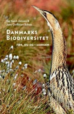Danmarks biodiversitet : før, nu og i morgen