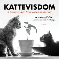 Kattevisdom : 53 ting vi har lært vores menneske