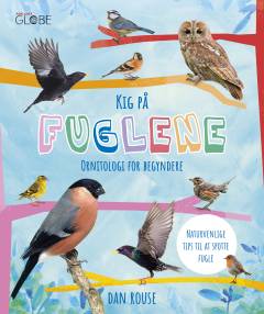Kig på fuglene : ornitologi for begyndere