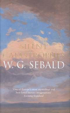 Silent catastrophes : essays in Austrian literature
