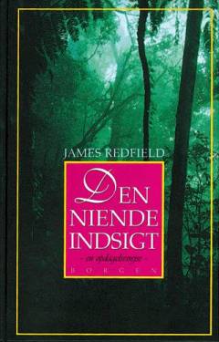 Den niende indsigt : en opdagelsesrejse