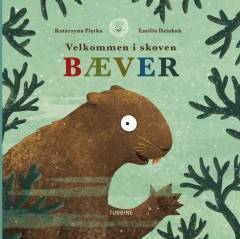 Bæver
