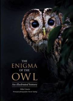 The enigma of the owl : an illustrated natural history