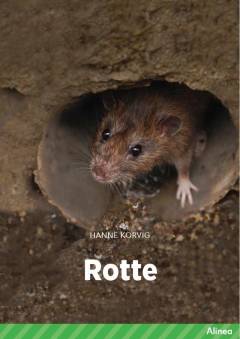 Rotte