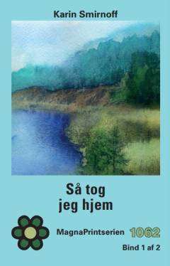 Så tog jeg hjem. Bind 1 (Stor skrift)