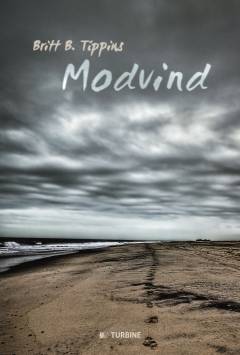 Modvind