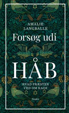 Forsøg udi håb : hvad præster ved om kaos