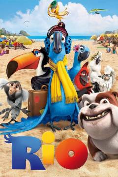 Film (dvd), 2011