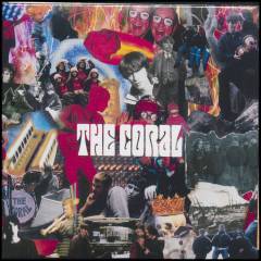 The Coral