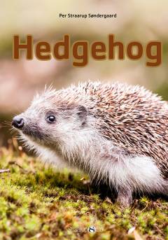 Hedgehog
