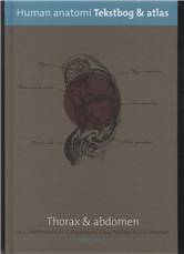 Human anatomi : tekstbog & atlas. Bind 3 : Thorax & abdomen