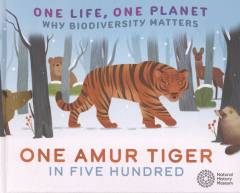One Amur tiger in five hundred
