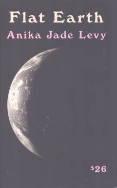 Flat Earth : a novel